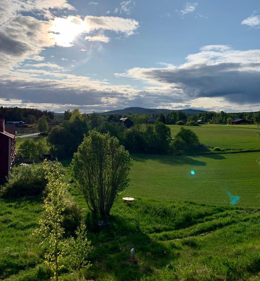 Haga Mini Apartman Enånger Kültér fotó